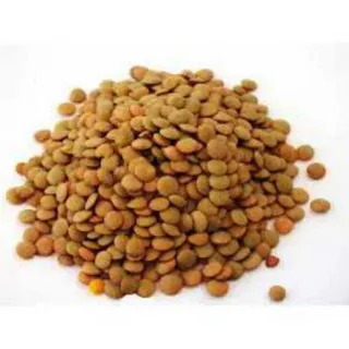 شركة البشير
