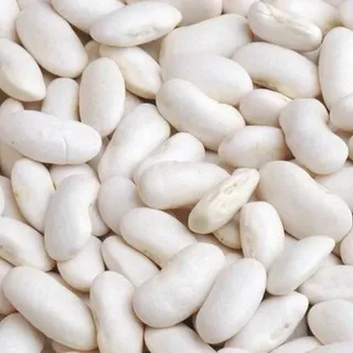 شركة البشير